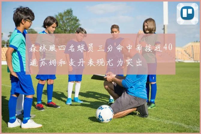 森林狼四名球员三分命中率接近40道苏姆和麦丹表现尤为突出